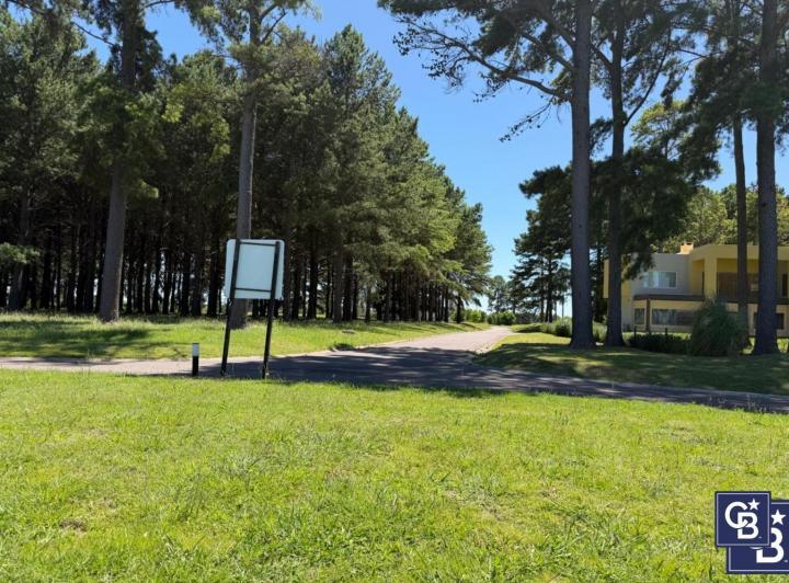 Terreno · 1583m²
