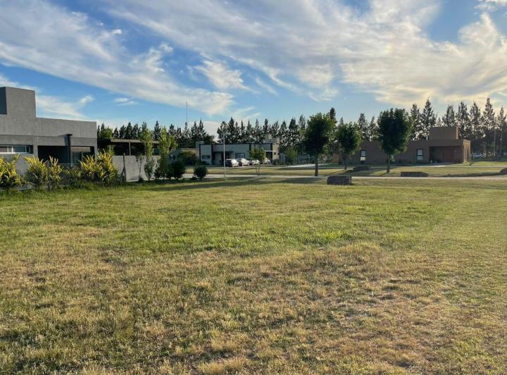 Terreno · 1041m²