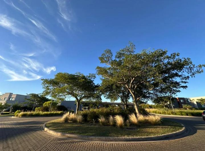 Terreno · 545m²