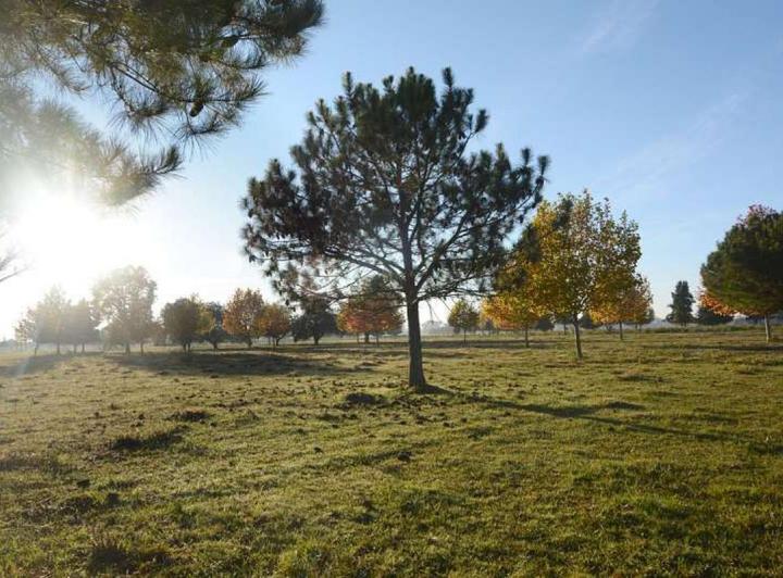 Terreno · 1169m²