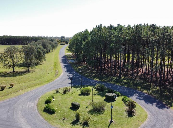 Terreno · 11000m²