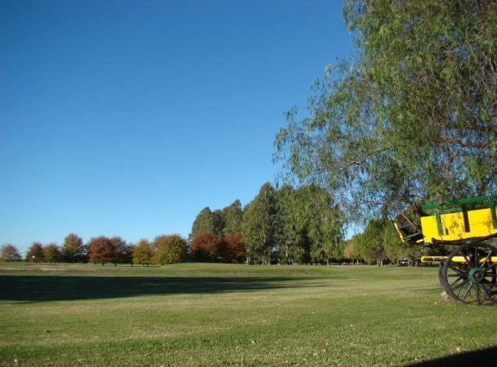 Terreno · 11000m²