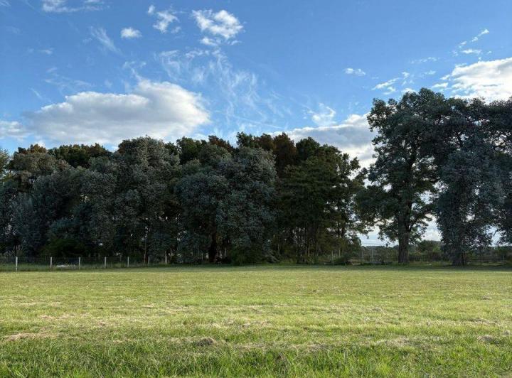 Terreno · 1156m²