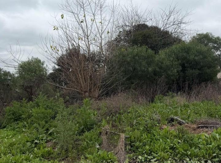 Terreno · 800m²
