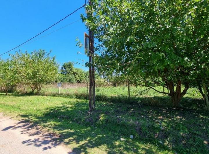 Terreno · 309m²