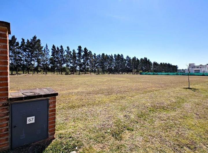Terreno · 1009m²