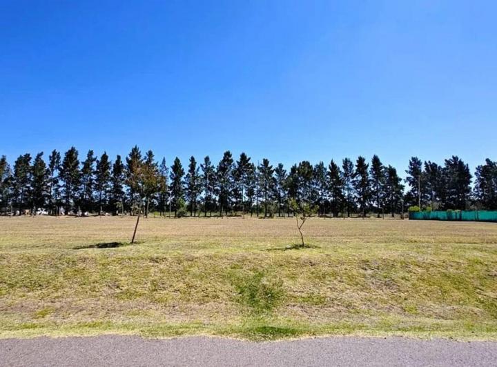 Terreno · 1000m²