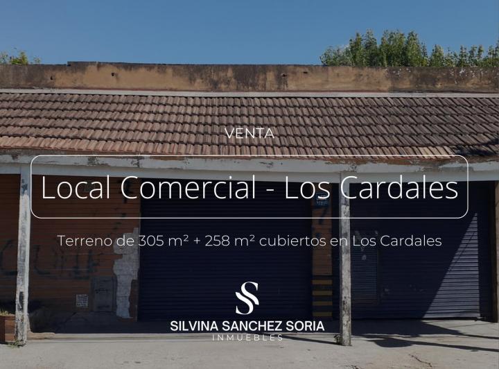 Local comercial · 258m² · 4 Ambientes
