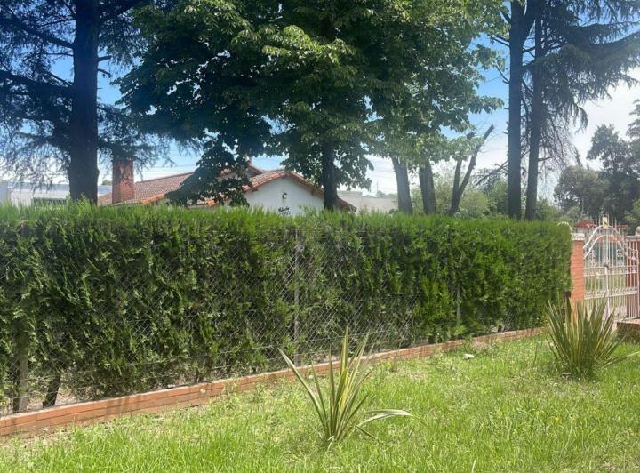 Local comercial · 300m²