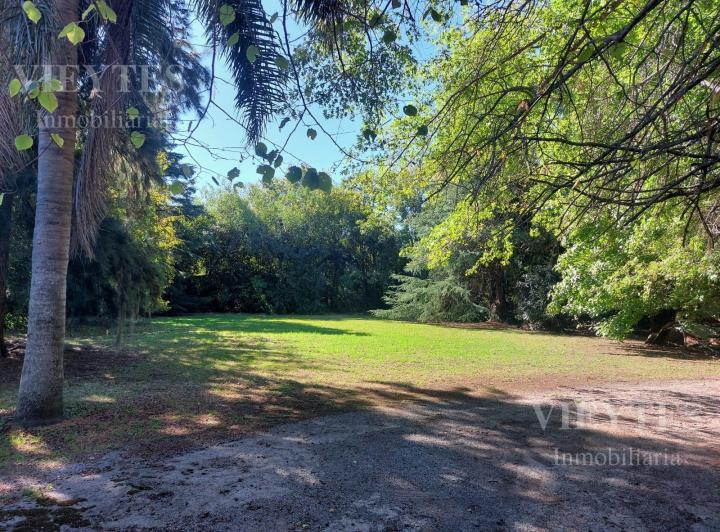 Local comercial · 316m² · 7 Ambientes