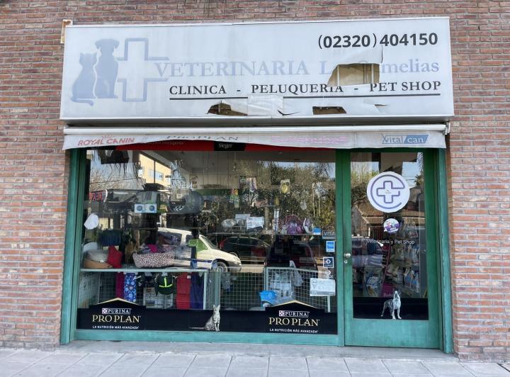 Local comercial · 81m² · 1 Ambiente