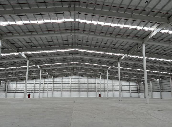 Bodega-Galpón · 11500m²