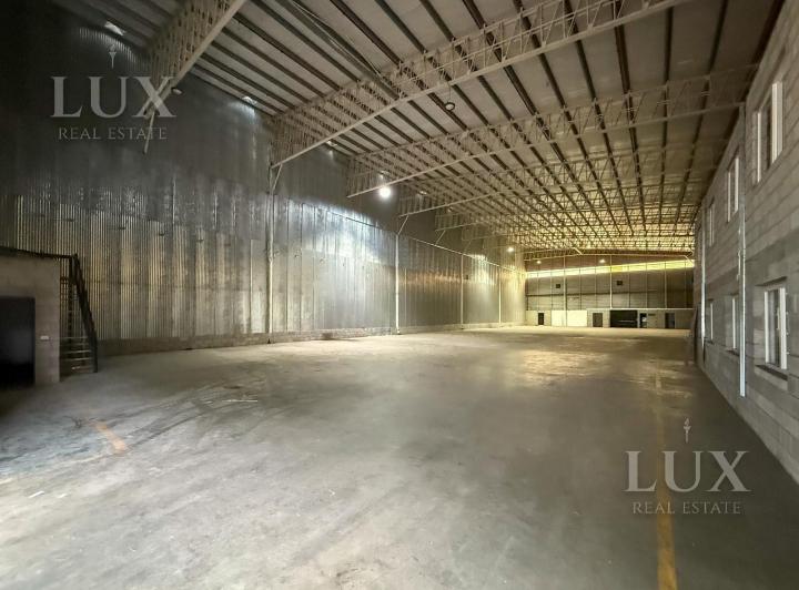 Bodega-Galpón · 1500m² · 1 Ambiente