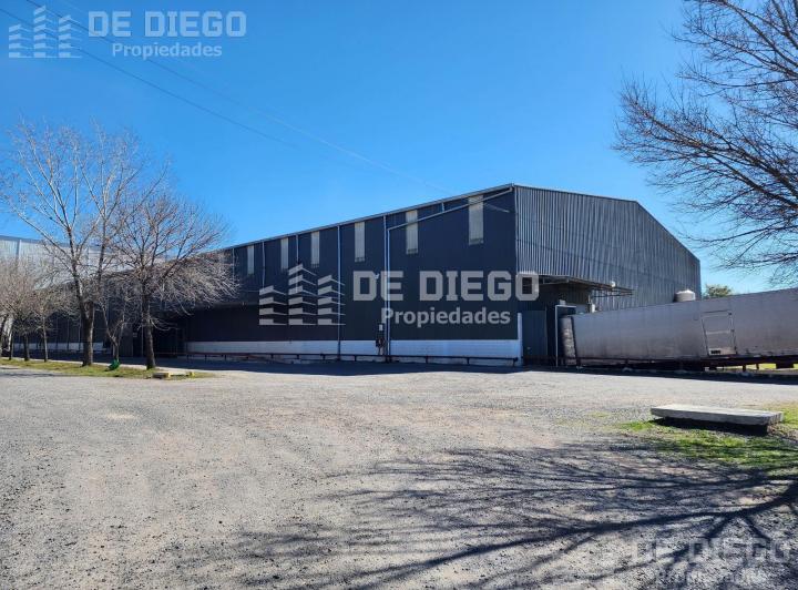 Bodega-Galpón · 5000m² · 1 Ambiente