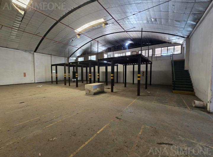 Bodega-Galpón · 1300m²