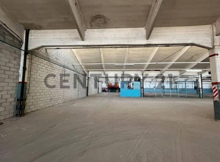 Bodega-Galpón · 300m²