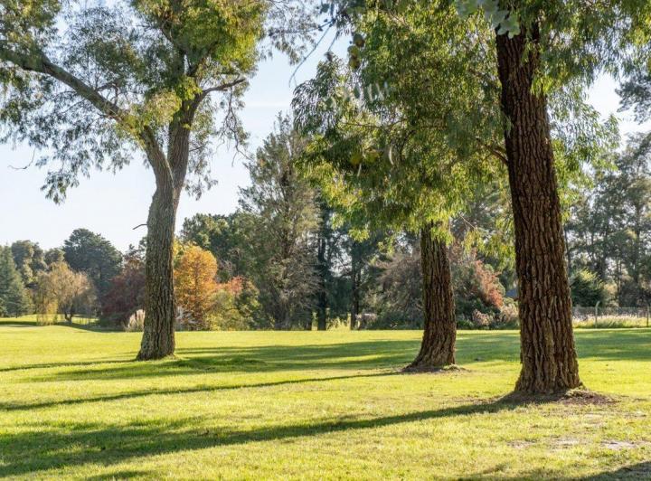 Terreno · 345m²