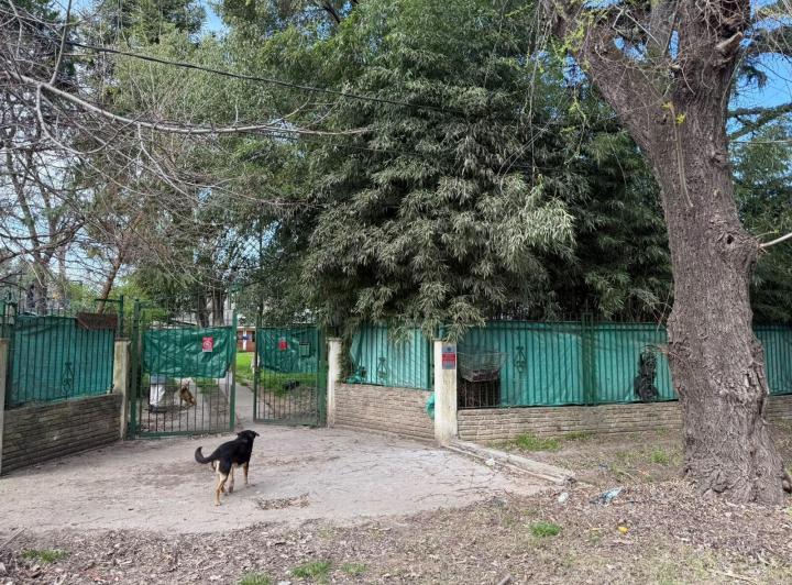 Terreno · 1000m²