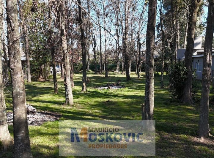 Terreno · 1160m²
