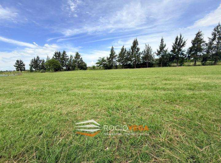 Terreno · 2004m²