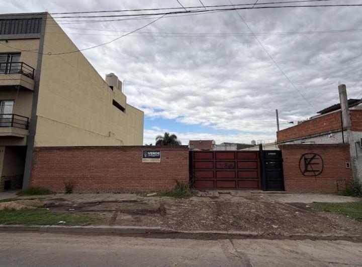 Terreno · 295ha