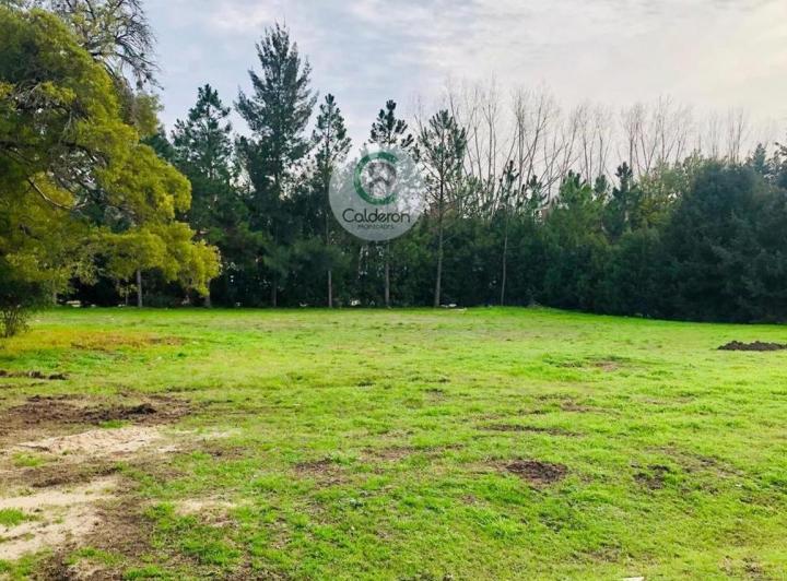 Terreno · 1500m²