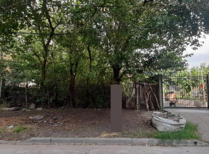 Terreno · 317m²