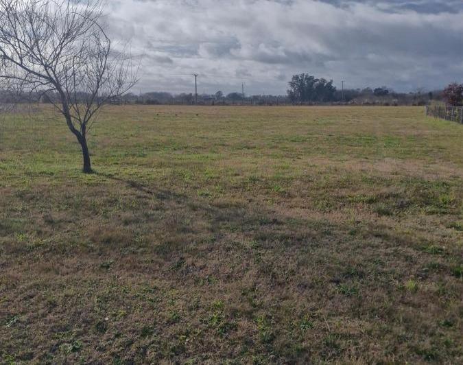 Terreno · 2000m²