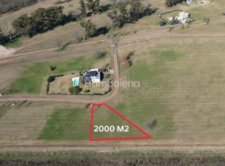 Terreno · 2000m²
