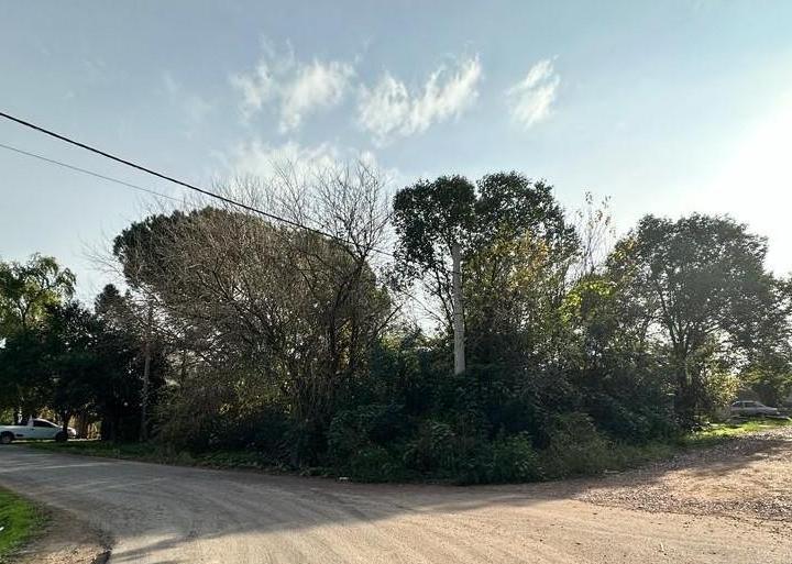 Terreno · 320m²