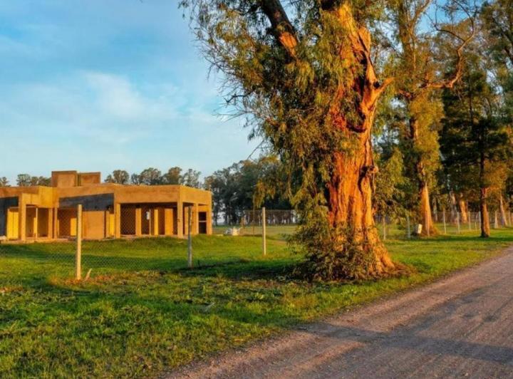Terreno · 1246m²
