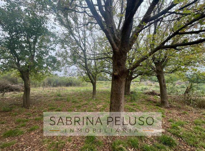 Terreno · 4120m²