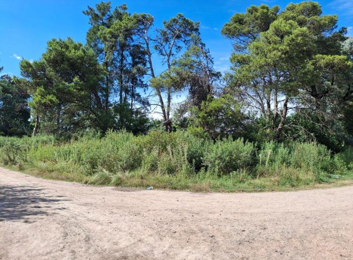 Terreno · 1m²