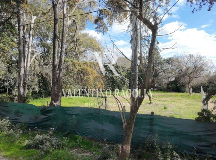 Terreno · 1200m²