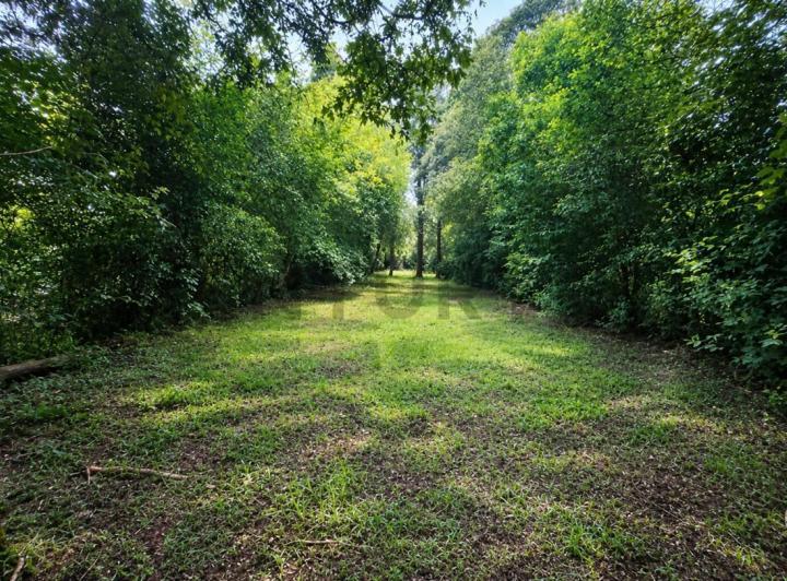 Terreno · 460m²