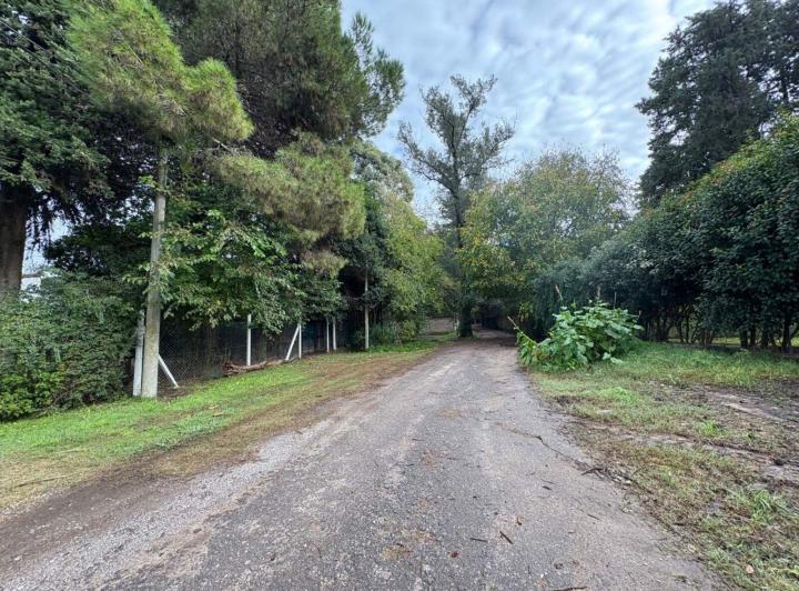 Terreno · 312m²