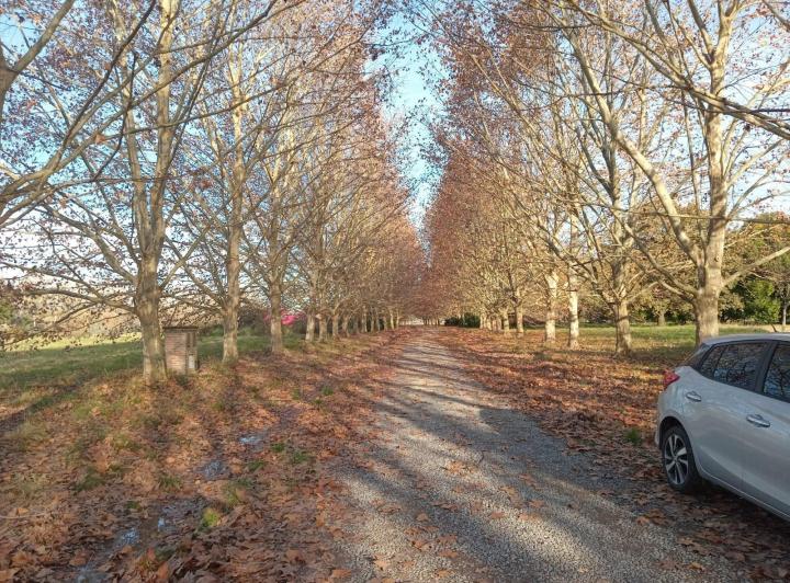Terreno · 15000m²