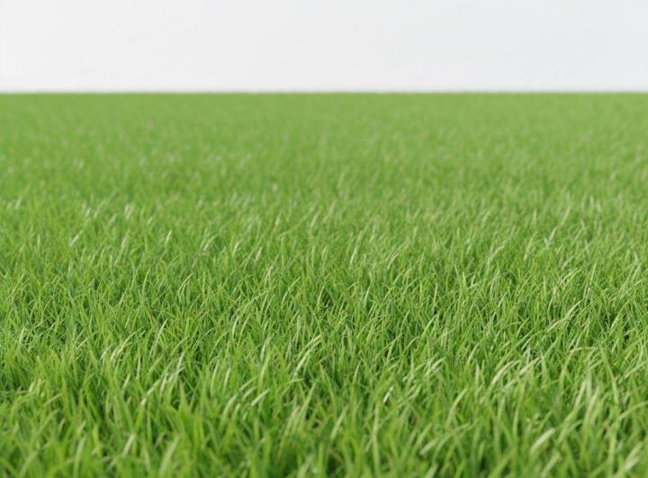 Terreno · 2000m²