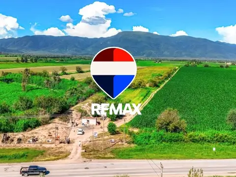 Campo venta 36 hectareas ruta 21 ideal para loteo