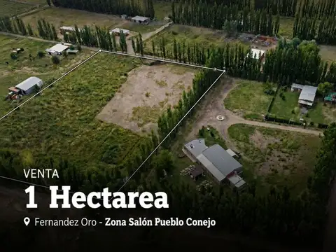 Chacra 1 hectarea en pueblo conejo - fernandez oro