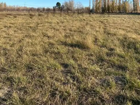 Lotes de 681m2 en "loteo los sauces"