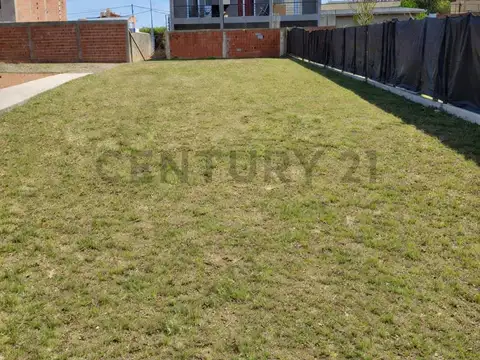 Lote de 356m2 en b. verdecchia