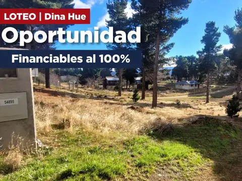 Loteo (nogales y petunias) dina huapi – dina hue