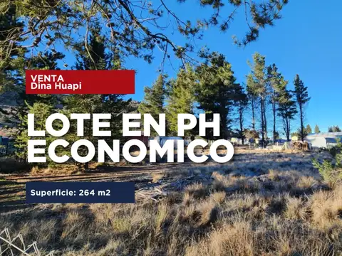 Lote en ph económico dina huapi - dina hue