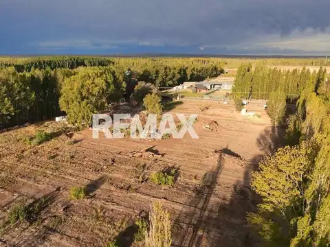 Venta terreno cardales calle san luis cipolletti
