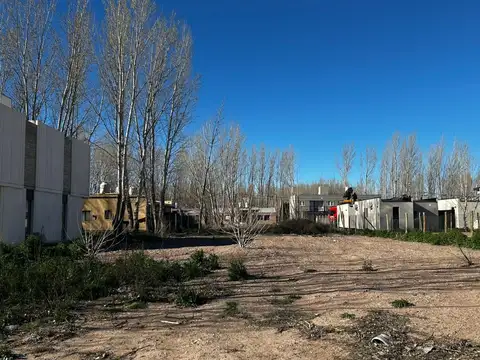 Lote deforestado y nivelado, la forestada, añelo