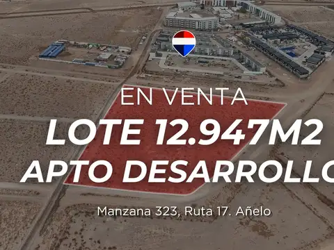 Lote 12947m² apto desarrollo | sobre ruta 17 añelo