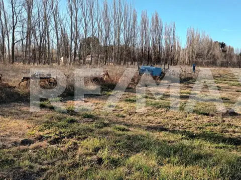 Alquiler de terreno con frente ruta 7