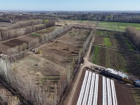 Chacra de 5.6has en centenario – lote agricola