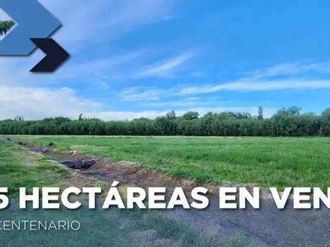 Chacra en venta de 5 ha, servicios.